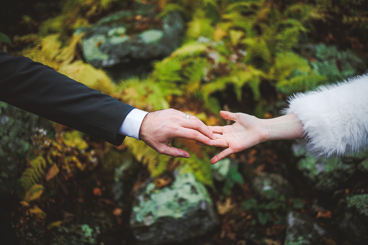 Ryan's hand reaching for Sara's fur-cuffed hand above green ferns and moss-covered rock
