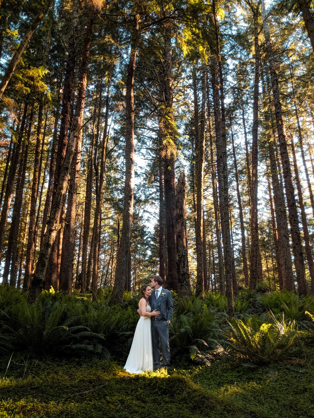 The couple standing together in a moss-covered Oregon forest, golden light through tall pines